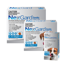 Nexgard retailers best sale