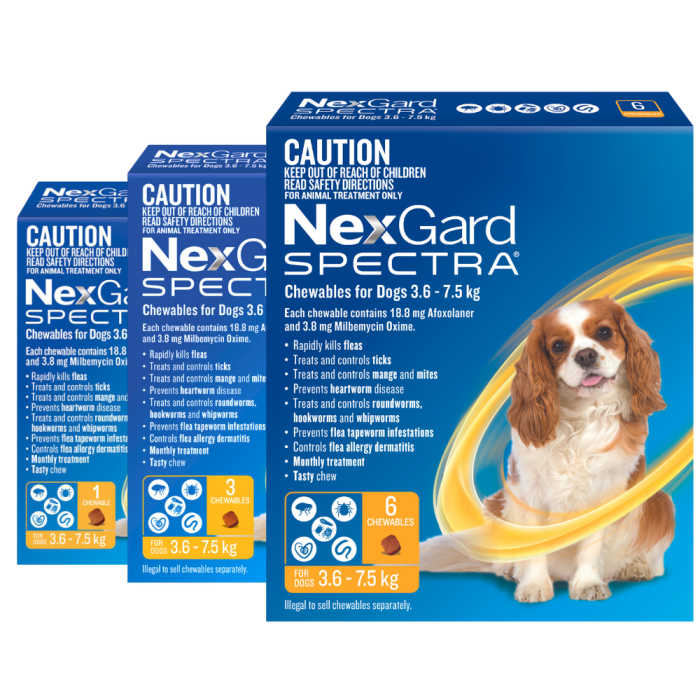 NexGard Spectra Dog Small 7.8 16.5lbs Yellow VetShopmax