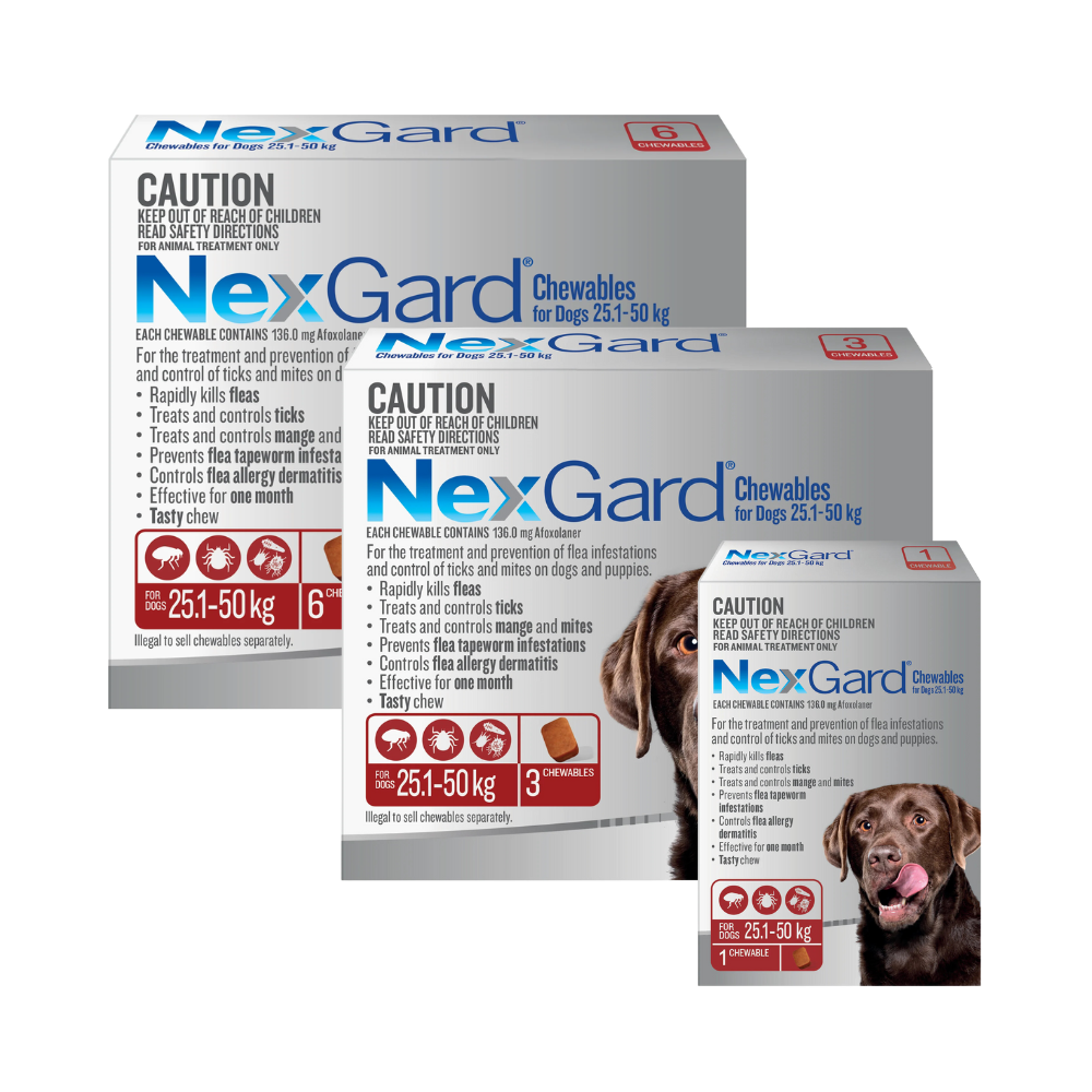 NexGard Chewables Dog Large 60.1 121lbs Red VetShopMax