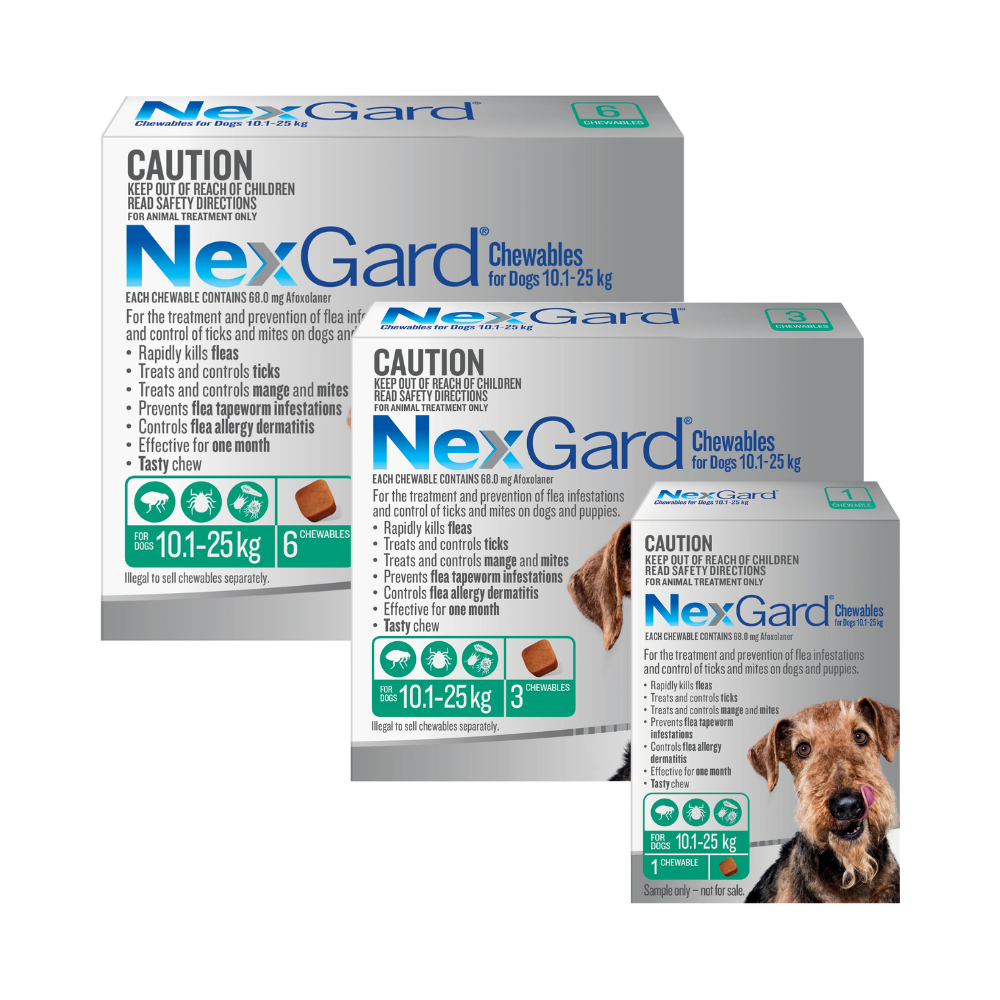 NexGard Chewables Dog Medium 24.1 60lbs Green VetShopMax