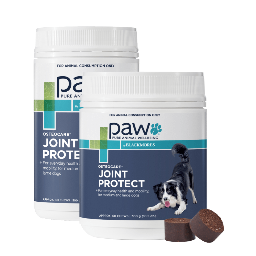 Paw shops osteocare 500g